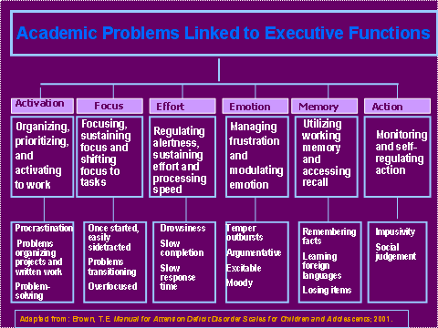 Executive Function Development Chart